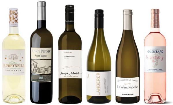 Sommerwein 6 Fl. Probierpaket 2025