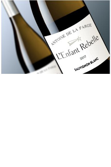 L'Enfant Rebelle Sauvignon Blanc